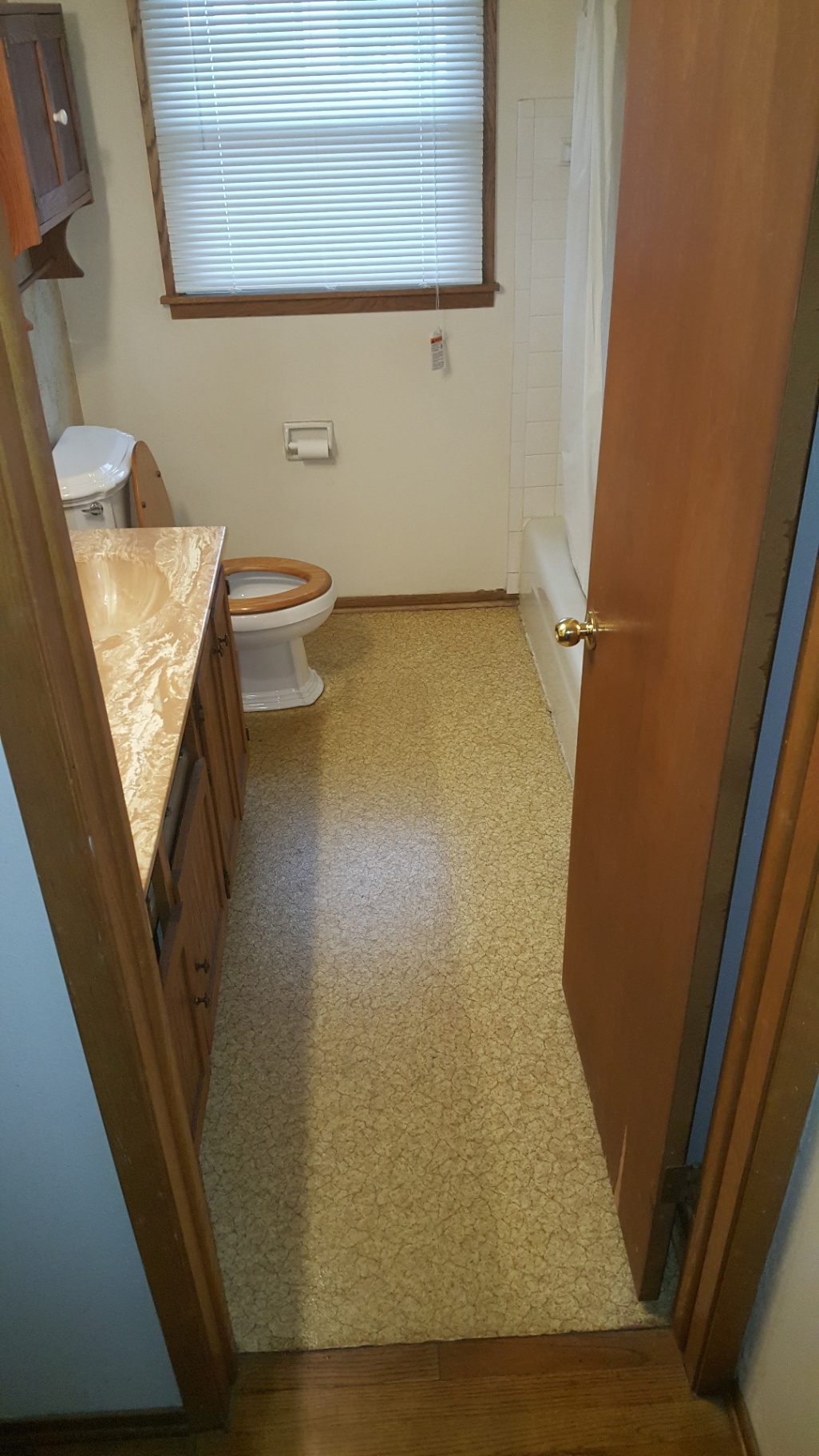 Full bathroom gut renovation in Atlanta — before
